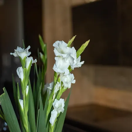 Riverside Vista Luxury Wellnes & By Uniquerent Апартаменти